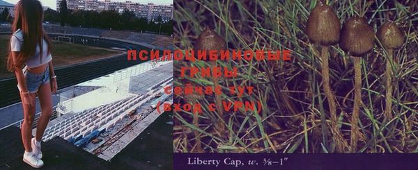 таблы Алексеевка